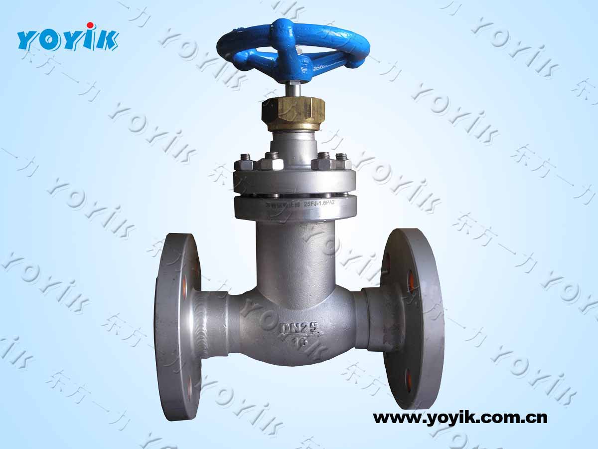 safety valve 4.5A25