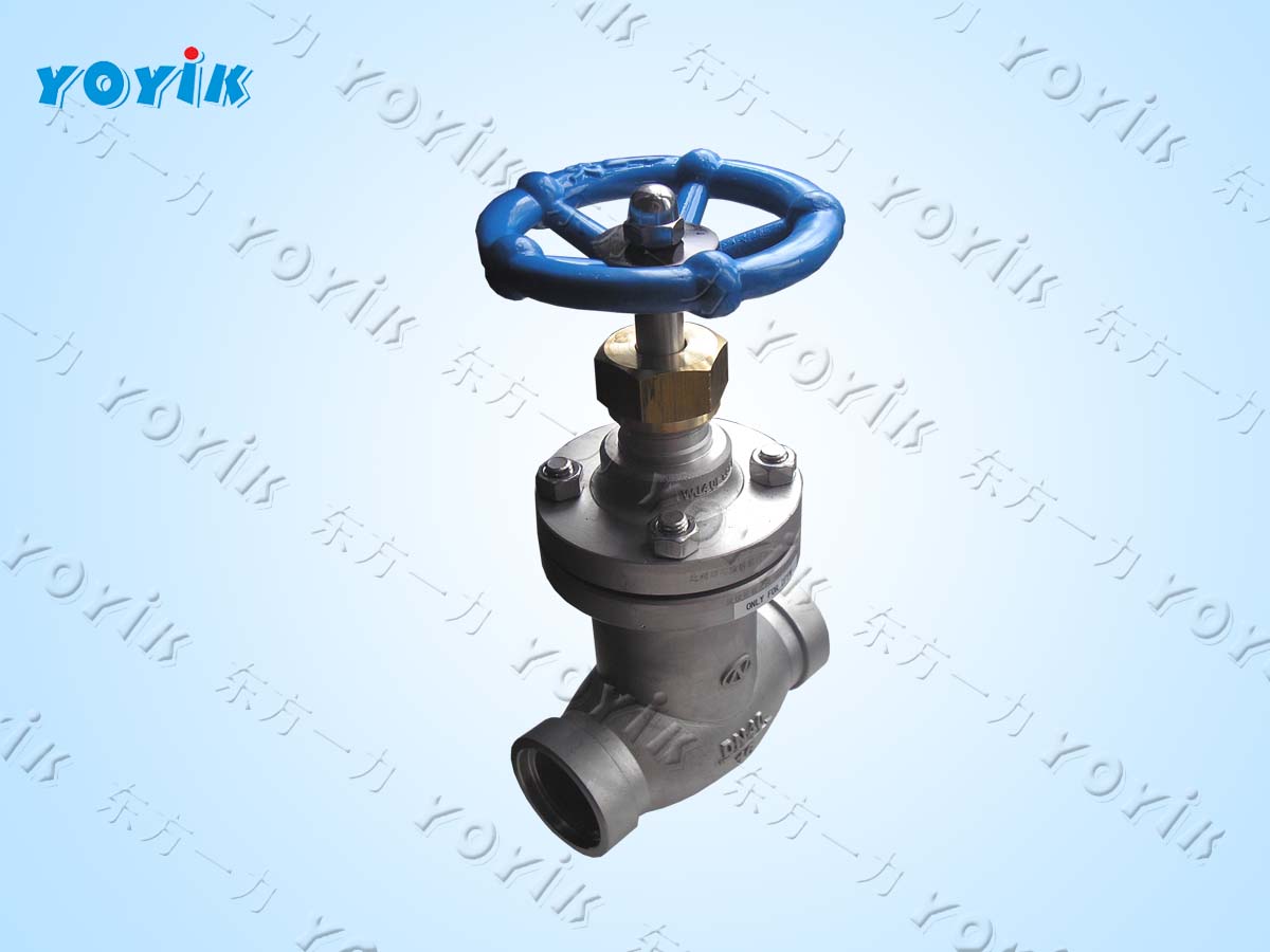 bellows globe valve core WJ10F1.6P.03