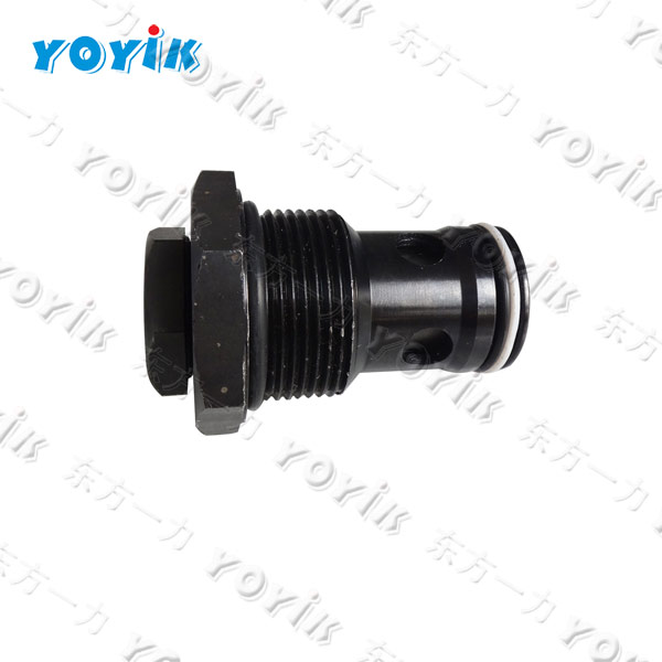 non-return valve S10P5.0