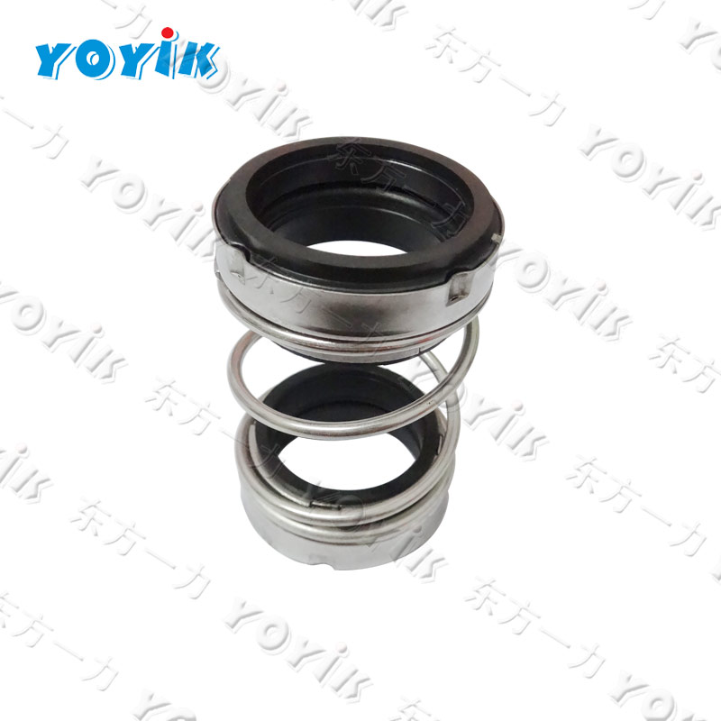  Mechanical seal KZ/100WS