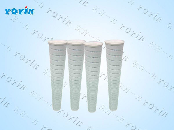 WFF-125-1 Stator cooling water system filter element