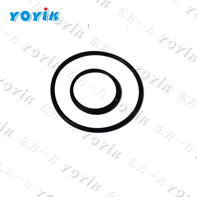 HB4-56J8-76 Corrosion-resistant Seal O-ring