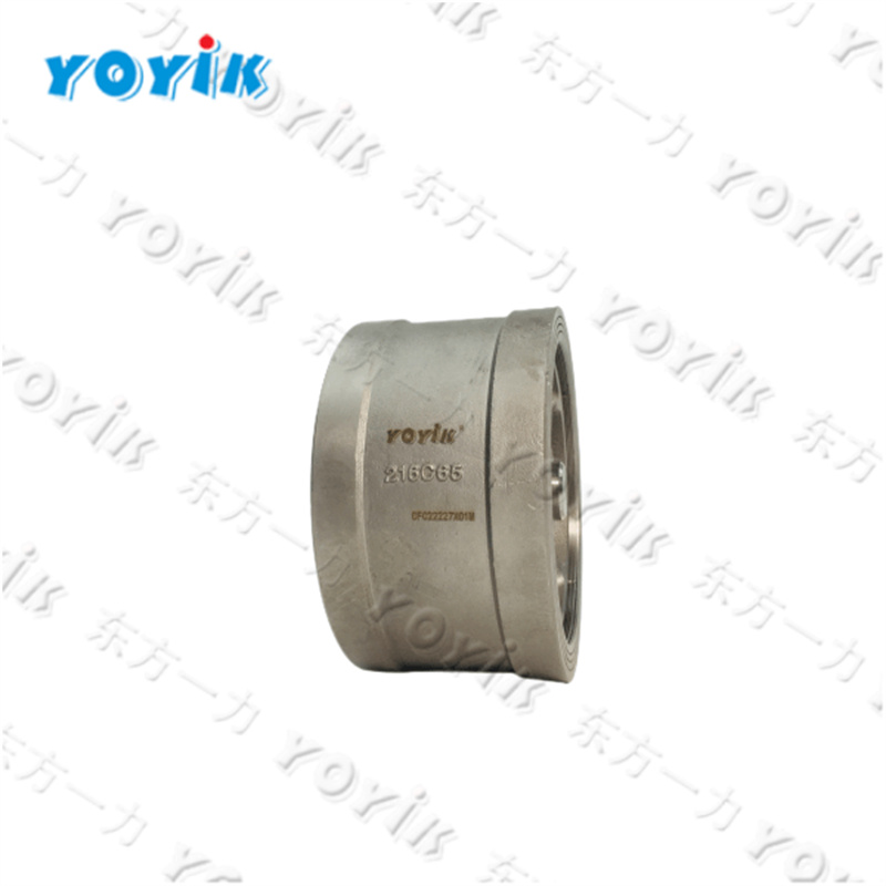 Application of China made 216C15 Generator hydrogen system Check valve