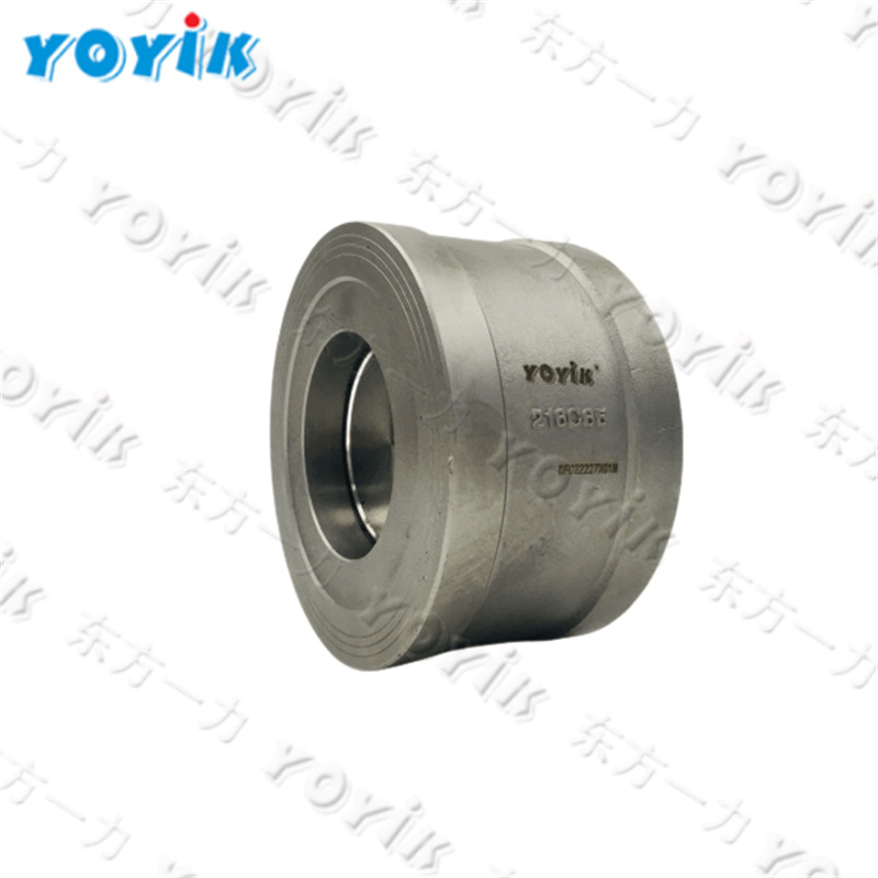  216C40 China sales stainless steel clip type Wafer Check valve