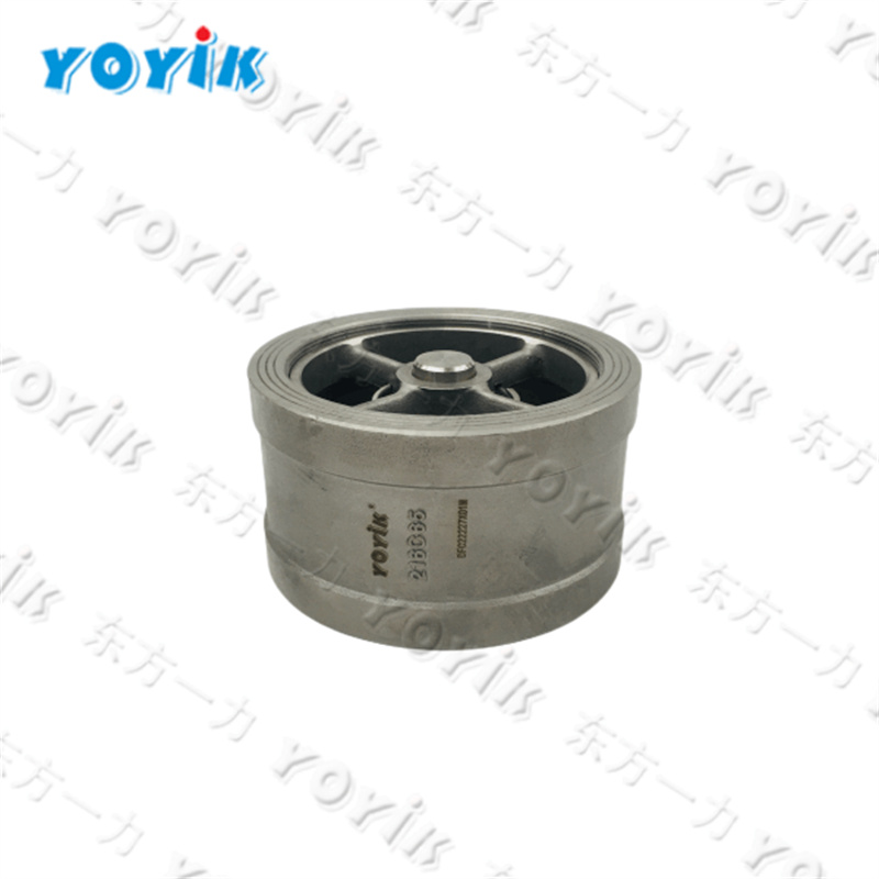216C50 China made Check valve (clip type) with reverse flange
