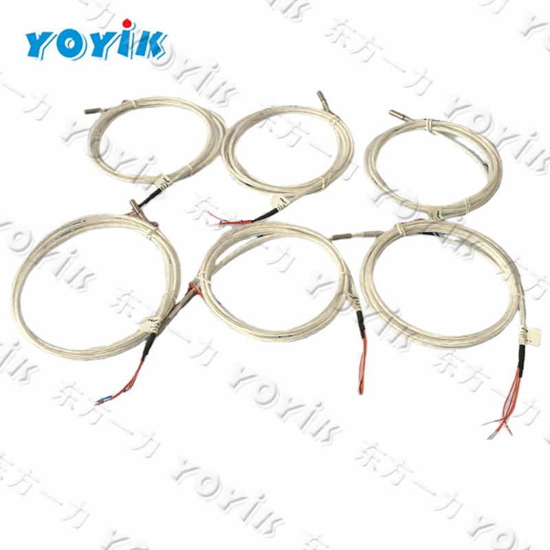 WZPM2-001 China customed six-wires Pt100 temperature probe RTD sensor
