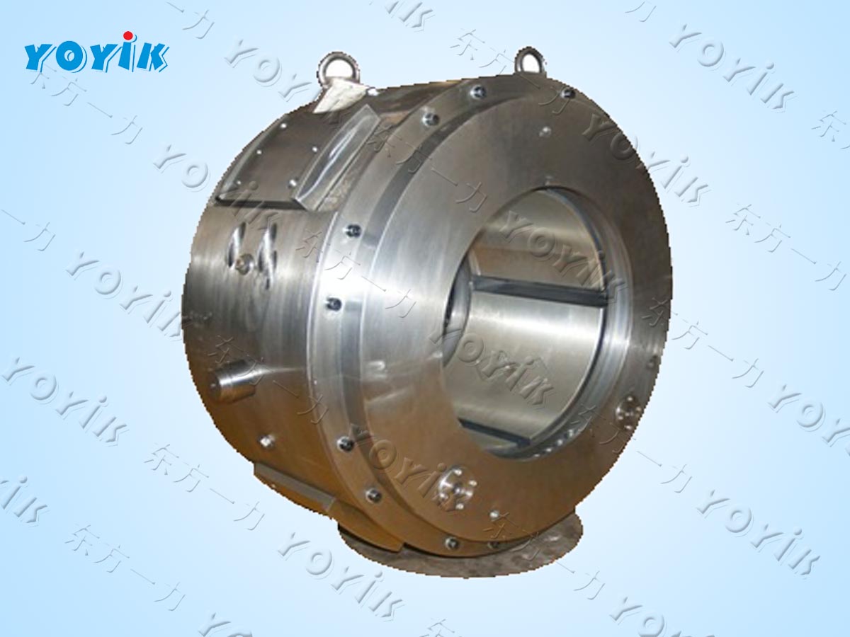 Steam Seal / Gland Seal