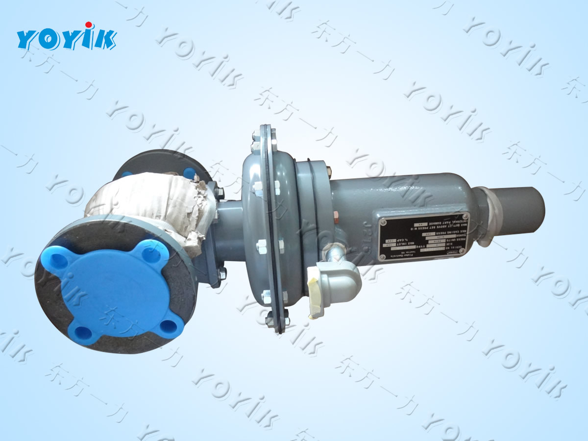 Sealing Oil Relief Valve