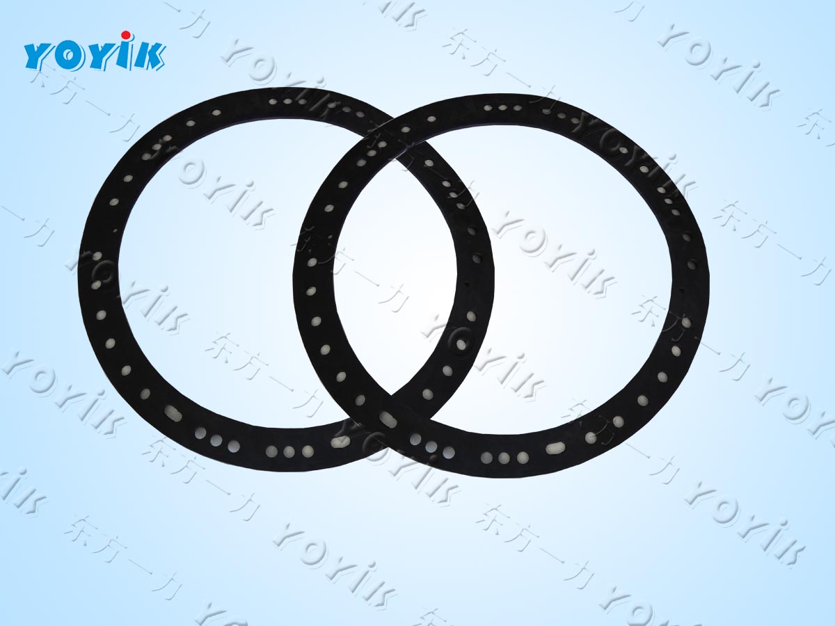 Gasket & Washer for Steam Turbine Generators