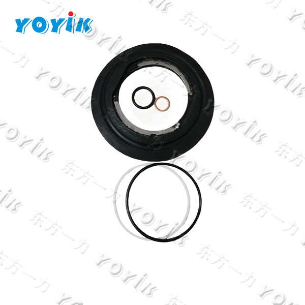 Hydraulic Accumulator Seal Kit