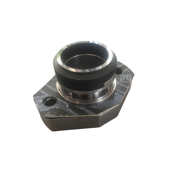 Mechanical seal DLZB820R64B Chhabra power