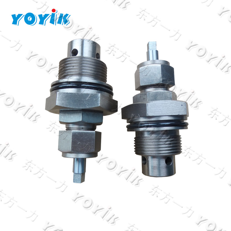globe valve SHV9.6 Harduaganj power